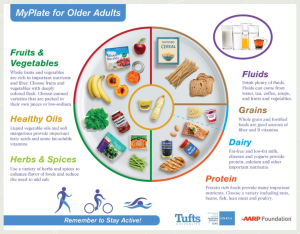 A chart displaying foods and drinks that may represent a healthy diet for older adults.