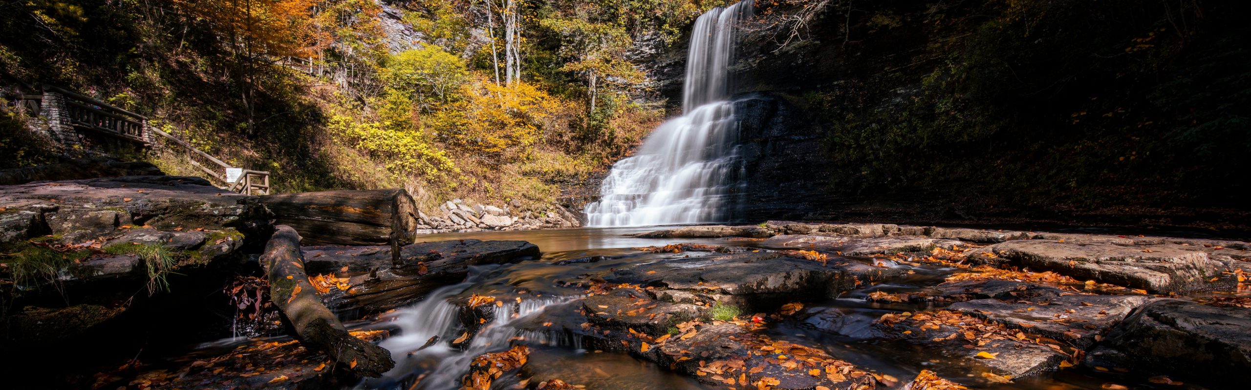 September Ebulletin Header Photo, Decorative