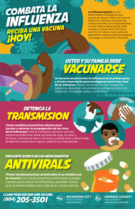 Fight Flu Infografica