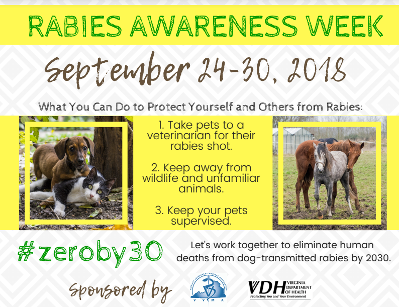 Rabies Awareness Week - Environmental Epidemiology