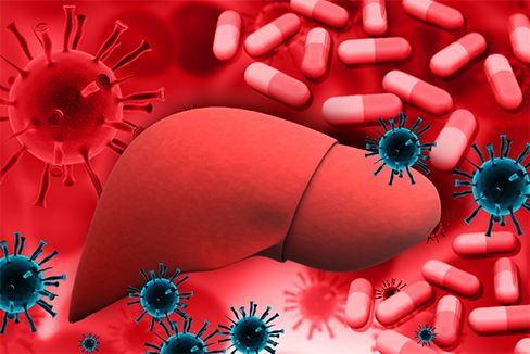 Illustration of a liver surrounded by viruses and pills.