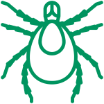A simple illustration of bugs and a rat