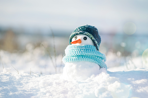 Small snowman built in a snowy field.