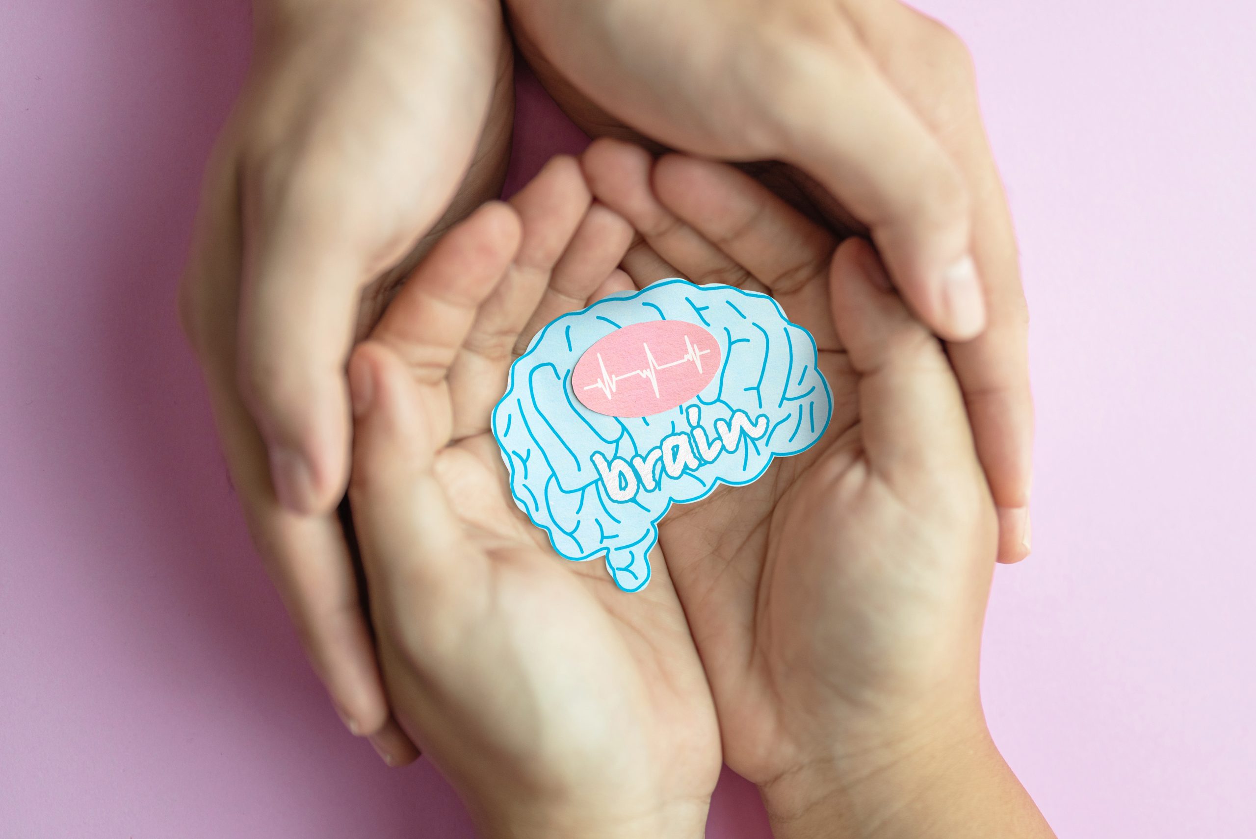 hands holding a paper cutout of a human brain labeled "brain"