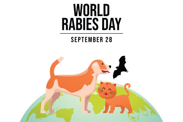 Día Mundial de la Rabia - 28 de septiembre - *ilustración de un perro, gato y murciélago de pie en el planeta tierra*