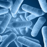 shutterstock_121360090 microbes