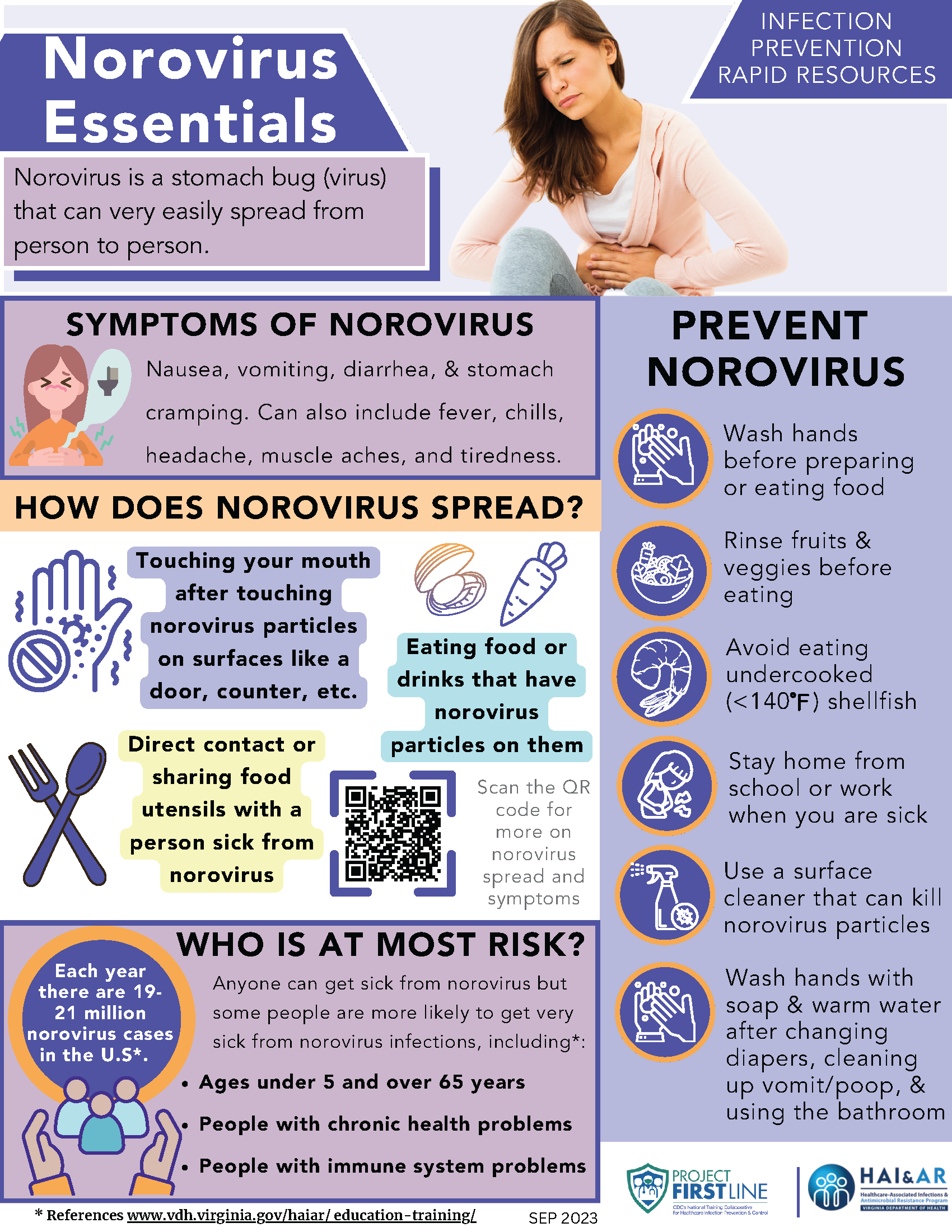 Mini-image of the Norovirus Essentials informational flyer.