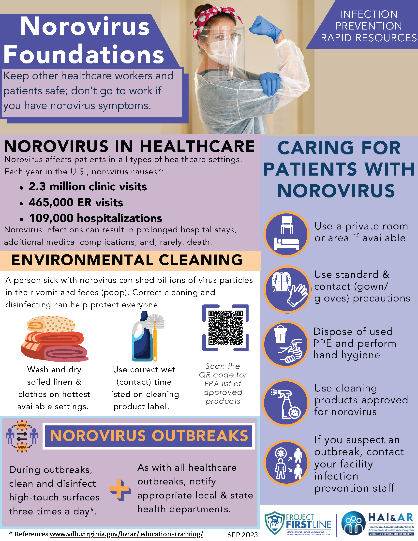 Mini-image of the Norovirus Foundations informational flyer.