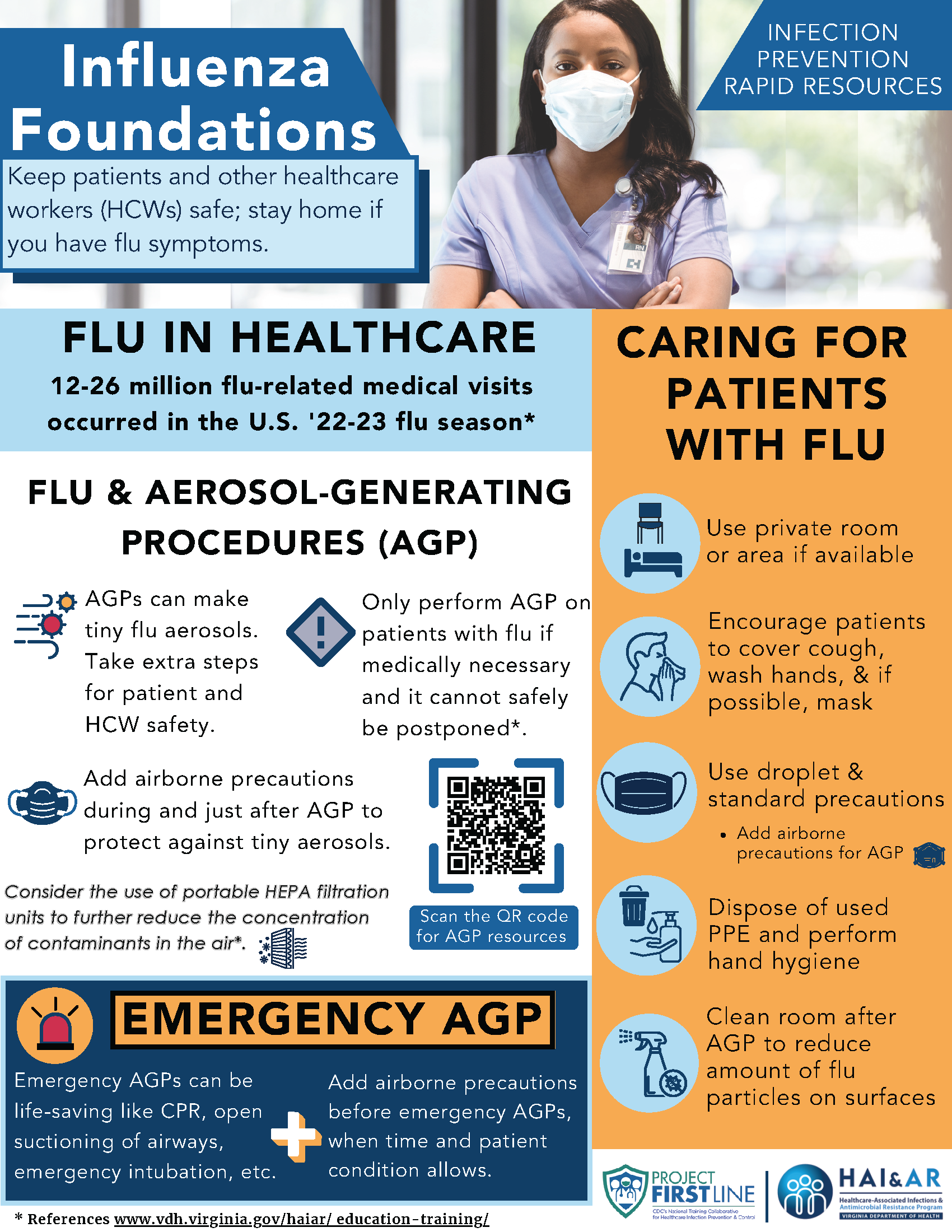 Image of the Influenza Foundations Flyer.