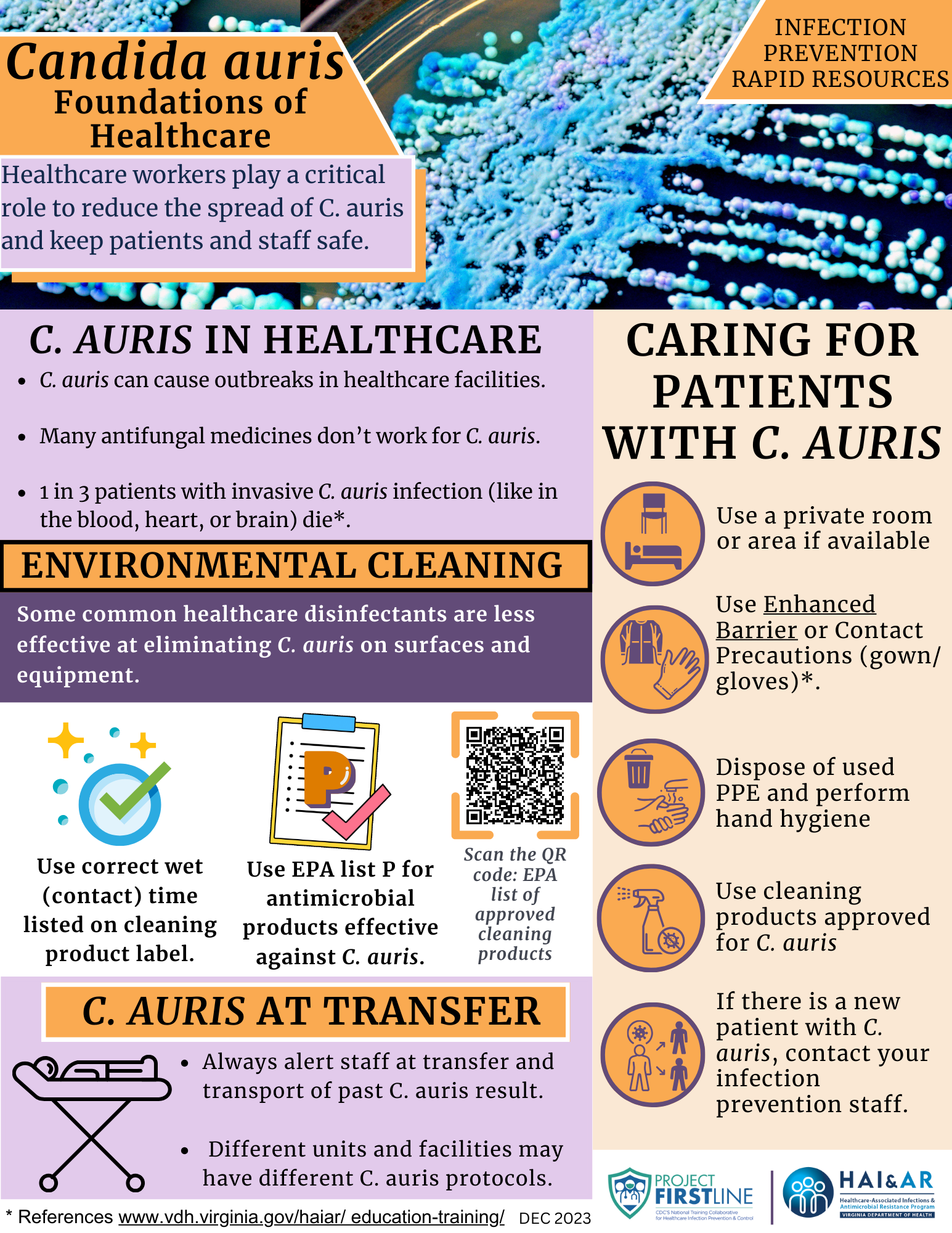 C auris Foundations Infographic