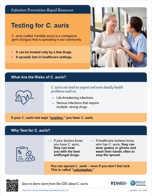 칸디다 아우리스 테스트 리소스 이미지