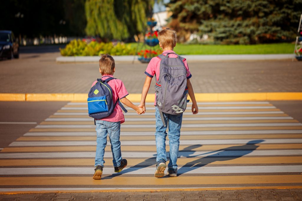 Pedestrian and School Bus Safety Injury and Violence Prevention