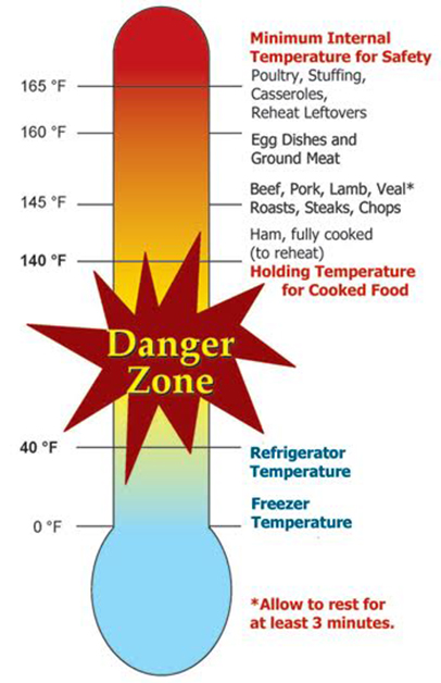 Temperature measurement at heart of food safety