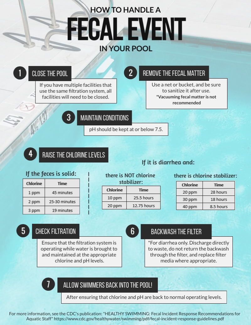Infographic depicting how to handle a fecal event in your pool