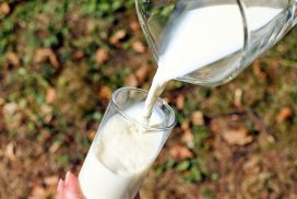 Glass pitcher of milk pouring into a glass