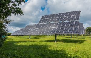 solar panels in lush green field