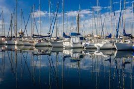 Marina with many sailboats