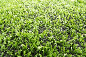 Image of synthetic turf with the green plastic grass fibers and black tire crumb rubber infill.