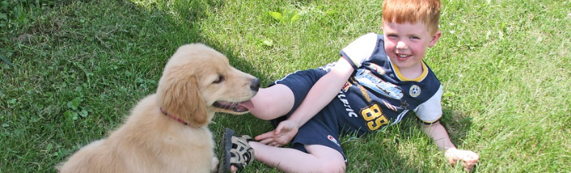 A smiling young boy in a sports jersey lays on the grass next to a golden retriever puppy.