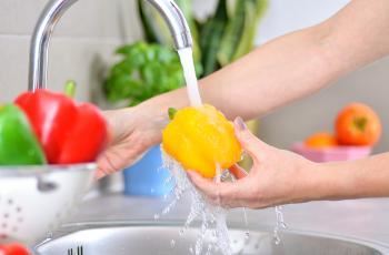 Todo lo relacionado con la seguridad alimentaria