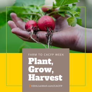Plant Grow Harvest