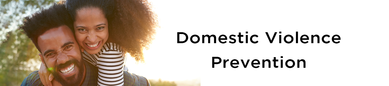 Domestic and Intimate Partner Violence Prevention - Domestic and Sexual ...