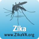 Image of Asian tiger mosquito. Zika. www.ZikaVA.org