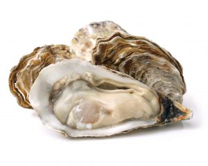 Fresh opened oyster on white background
