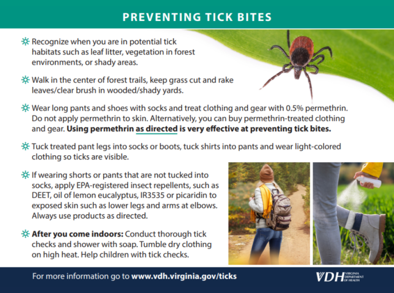 Ticks Safety - Newsroom