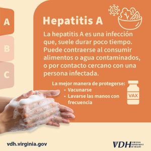 La hepatitis A es una infección que, suele durar poco tiempo. Puede contraerse al consumir alimentos o agua contaminados, o por contacto cercano con una persona infectada. La mejor manera de protegerse: Vacunarse Lavarse las manos con frecuencia 