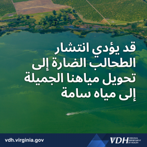 قد يؤدي انتشار الطحالب الضارة إلى تحويل مياهنا الجميلية إلى ميه السامة