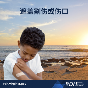 遮盖割伤 또는伤口