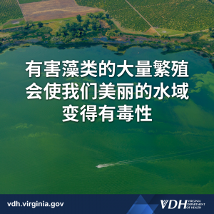 有害藻类的大量繁殖会使我们美丽的水域变得有毒性