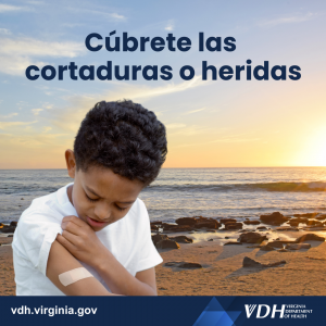 상처나 허리를 다듬습니다.