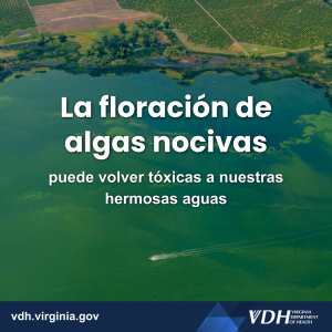 일부 식물의 꽃은 우리 아이들에게 다시 독이 될 수 있습니다.