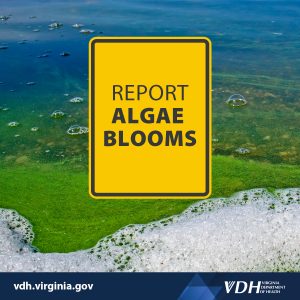 이미지: 녹조 발생 신고라는 표지판, 녹조 발생 배경