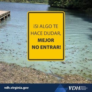 궁금한 점이 있으면 입력하지 않는 것이 좋습니다!