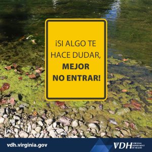 궁금한 점이 있으면 입력하지 않는 것이 좋습니다!