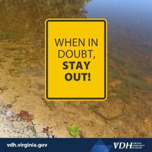 이미지: 의심스러운 경우, 배경에 자연수 사용