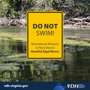 이미지: 수영 금지 - 유해 조류 번식으로 인한 레크리에이션 권고, 배경에 물이 있습니다.