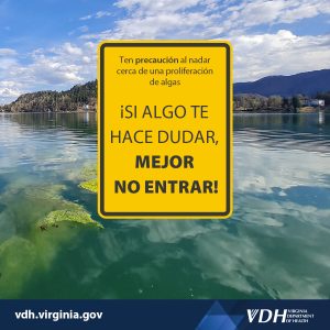 몇 가지를 검색하는 데 시간을 낭비하지 마십시오. 의심스러운 것이 있다면 들어가지 않는 것이 좋습니다!