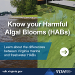 텍스트: 유해 조류 번식(HAB) 바로 알기 - 버지니아 해양 및 담수 HAB의 차이점에 대해 알아보기