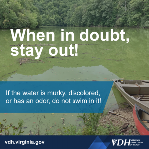 의심스러우면 외출하지 마세요! 물이 탁하거나 변색되었거나 냄새가 나면 수영을 하지 마세요! 이미지; 흐린 호수