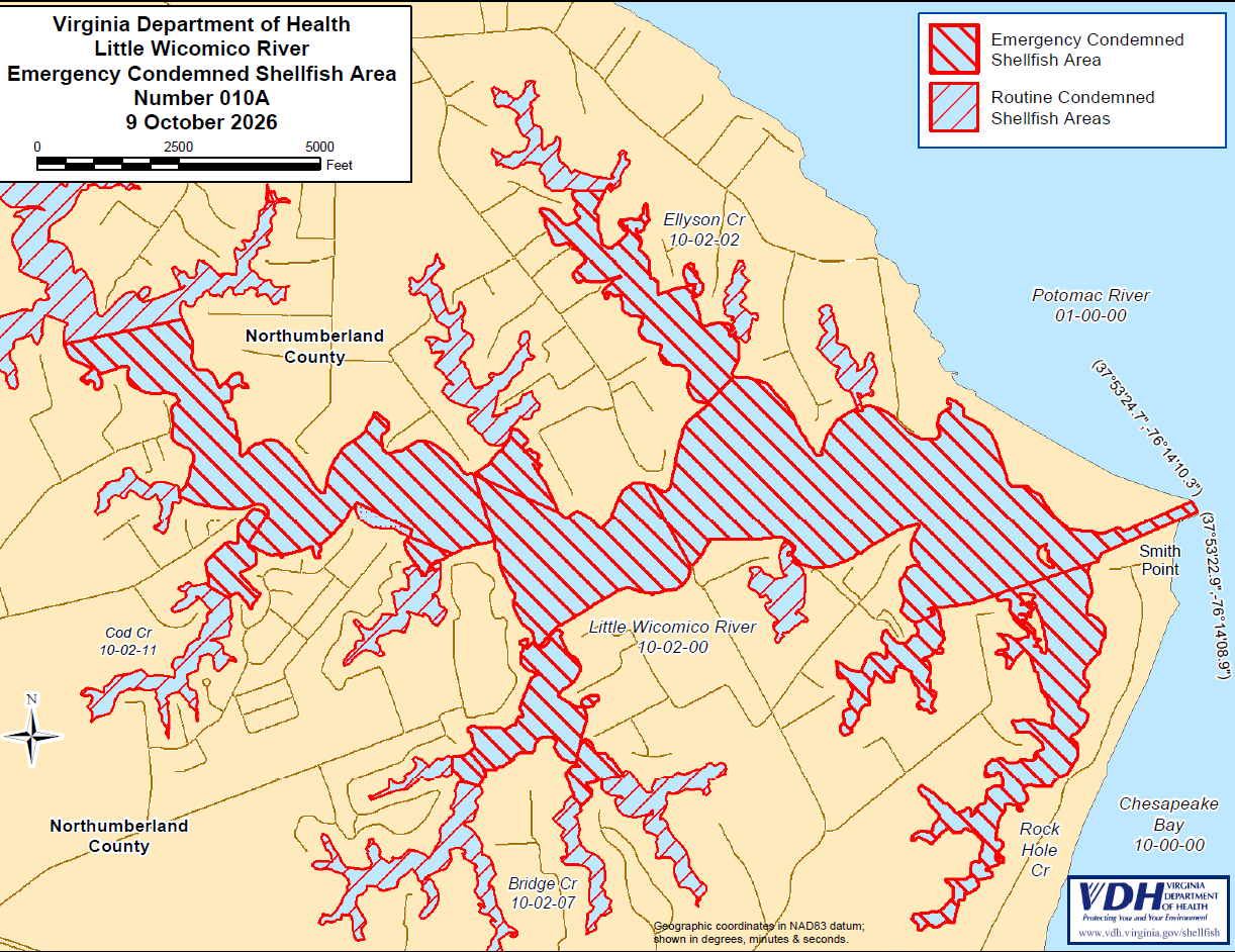 Virginia Department of Health Closes Little Wicomico River to Shellfish Harvesting