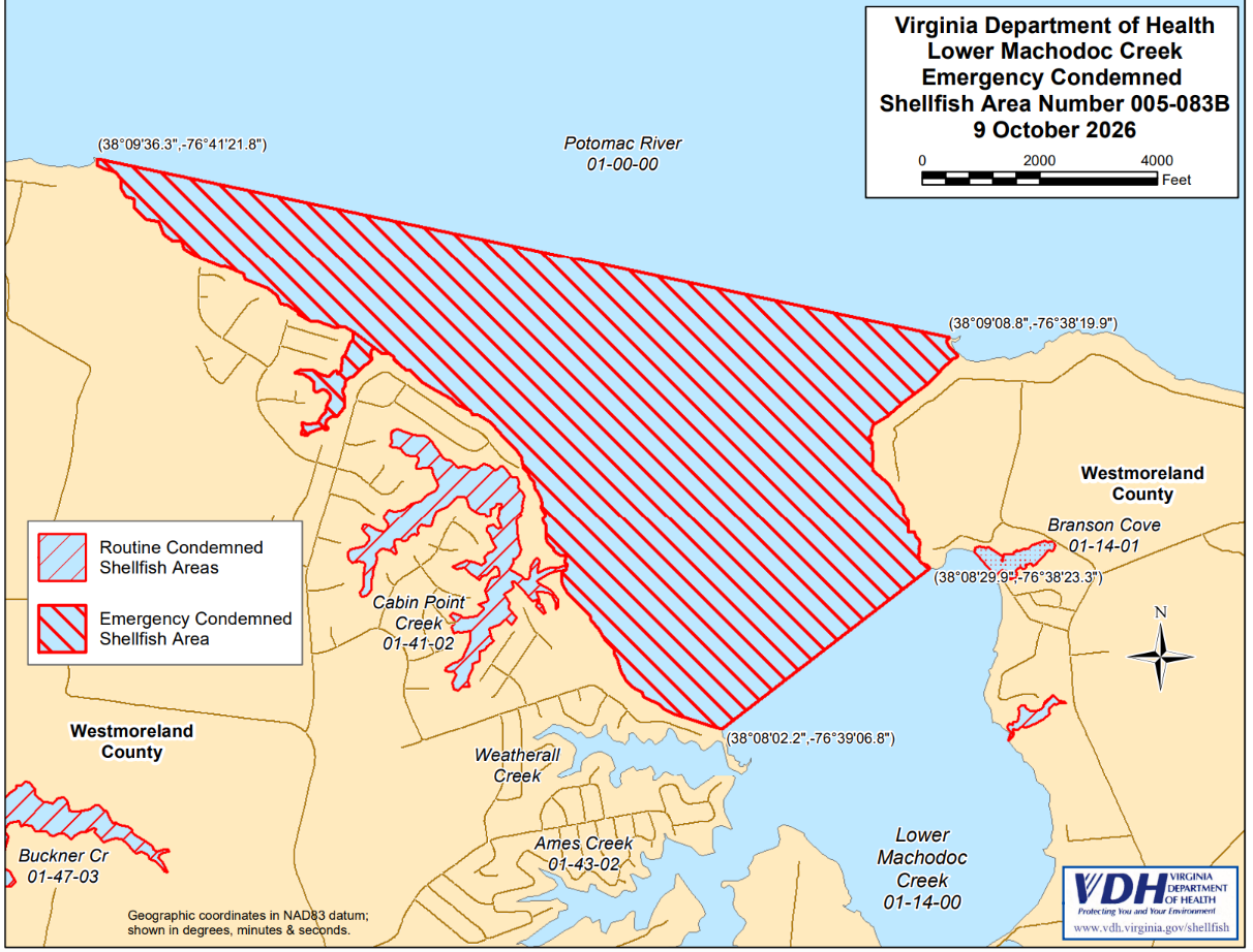 Virginia Department of Health Closes Portion of Lower Machodoc Creek to Shellfish Harvesting