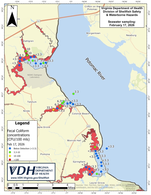 The map shows the 36 locations shellfish growing areas from Colonial Beach to the 301 Bridge where VDH  conducted a seawater sampling on Feb. 17.