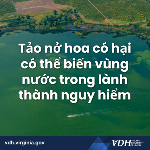 더 자세한 정보는 다음과 같습니다.