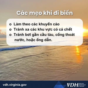 안전한 게임 플레이를 위한 권장 사항: 주의 사항을 기억하고 지침을 따르세요. 시체를 피하세요. 악몽, 괴담, 비극을 피하세요.