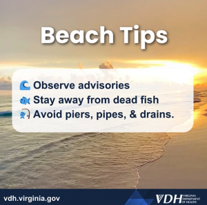 이미지: 해변의 해안선; 텍스트: 해변 팁 - 주의 사항 준수, 죽은 물고기 접근 금지, 부두 파이프 및 배수구 피하기