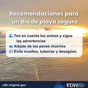 안전한 게임 플레이를 위한 권장 사항: 주의 사항을 기억하고 지침을 따르세요. 시체를 피하세요. 악몽, 괴담, 비극을 피하세요.